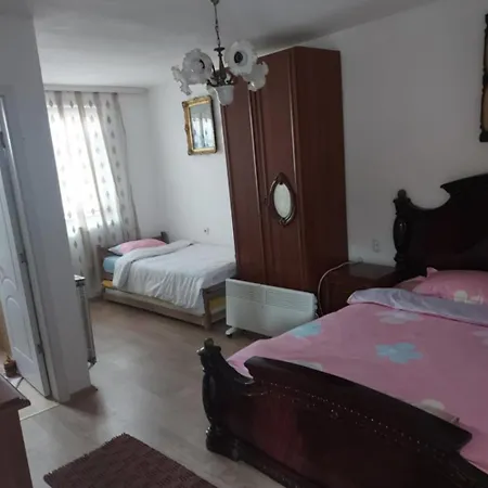 Etno Kuca Petrovic Hotel *