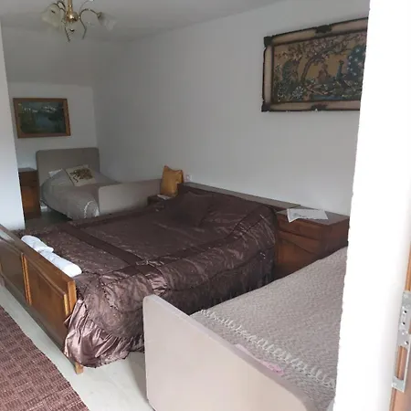 Etno Kuca Petrovic Hotel *